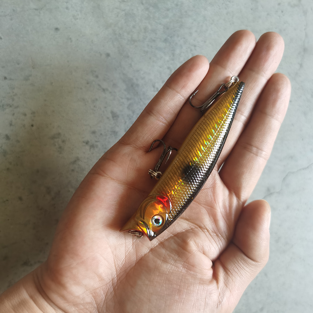1pcs Fishing Lures High Qualit - Fishing Lure Topwater 리뷰 및 가격
