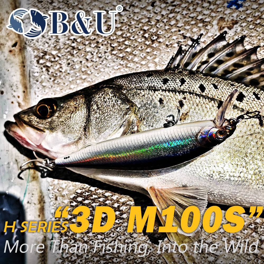 B&U Long Casting Sinking Minno - Fishing Lure Jerkbait 리뷰 및 가격