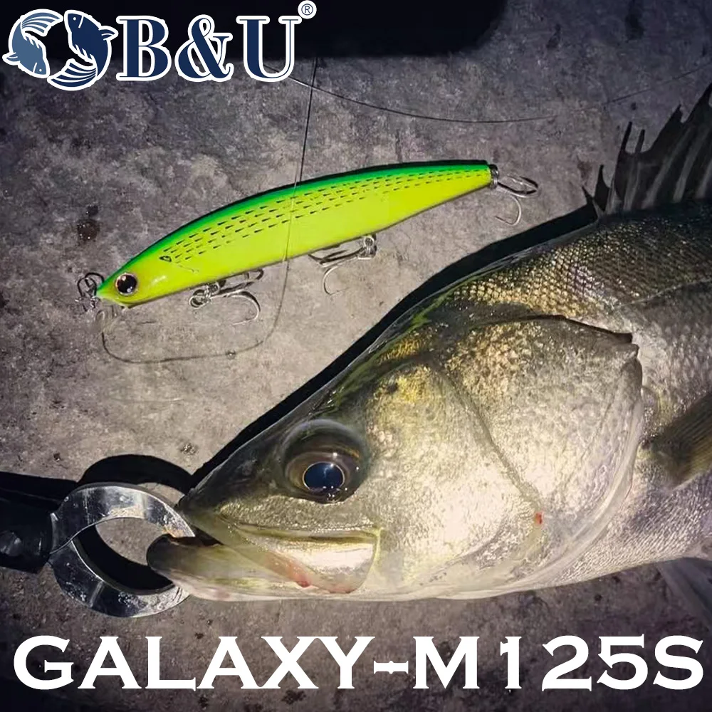 B&U 125mm Sinking Minnow Sea F - Fishing Lure Crankbait 리뷰 및 가격